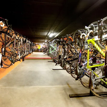 Globales Janeiro 캔 피카폴트